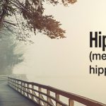 Hiprex_banner